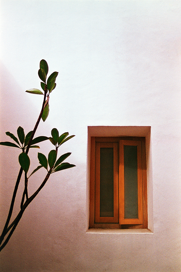 Shutter Magazine